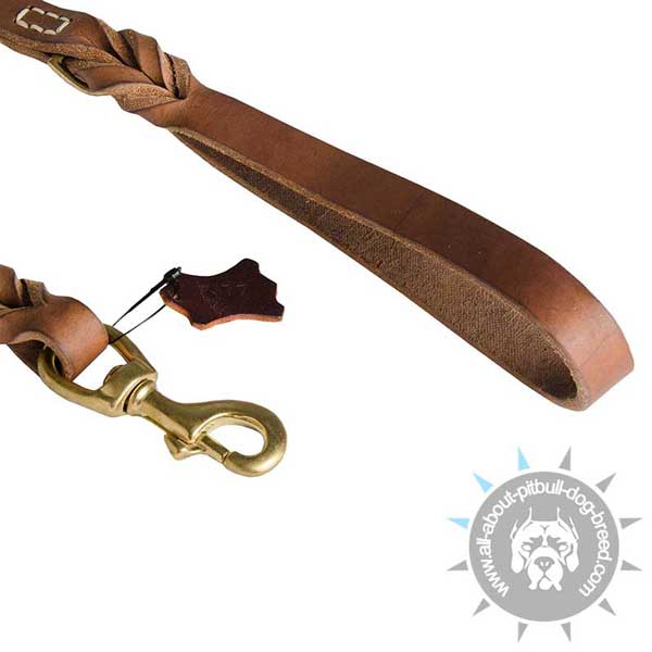 Strong Snap Hook on Walking Braided Pitbull Leash
