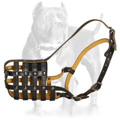 Leather dog muzzle is strong equipment
