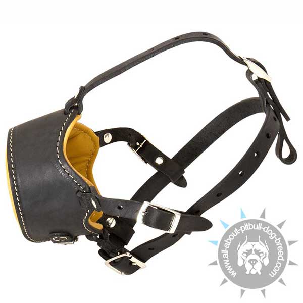 Leather safety dog muzzle