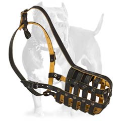 Specially engineered leather dog muzzle for Pit Bull