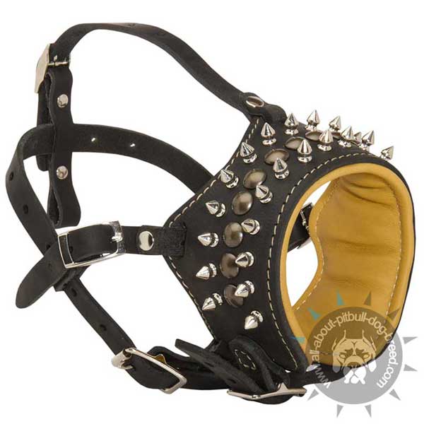 Nappa Padded Leather Muzzle for Pitbull  
