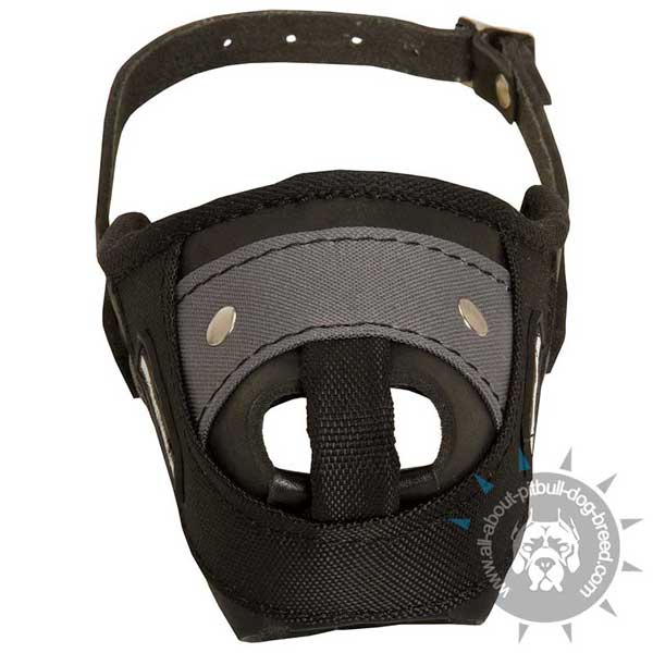 Reliably Stitched Pitbull Muzzle of Leather and Nylon