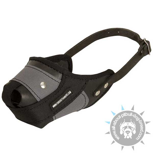 Adjustable Pitbull Muzzle Made of Combination of Leather and Nylon
