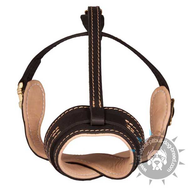 Perfect leather dog muzzle for Pitbull