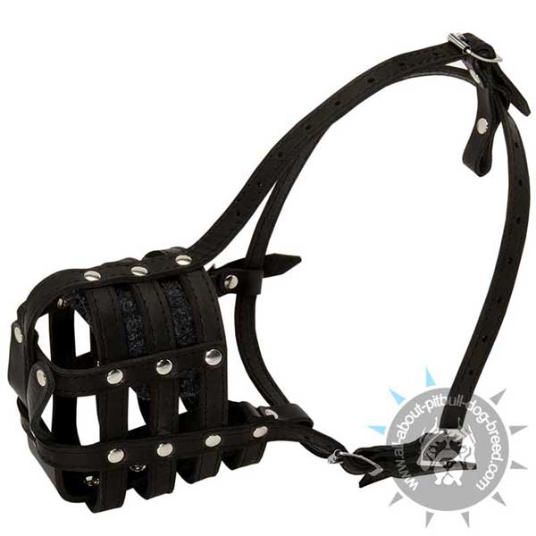 Leather Pitbull Muzzle with Adjustable Straps