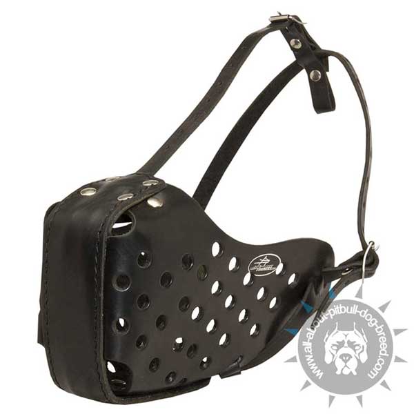 Leather Pit Bull dog muzzle is extra durable