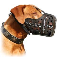 Handpainted leather dog muzzle