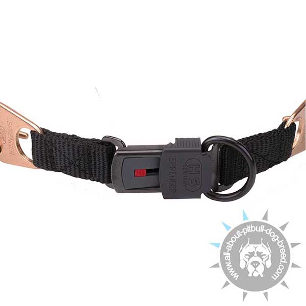 Pitbull Curogan Collar with Strong Click Lock System
