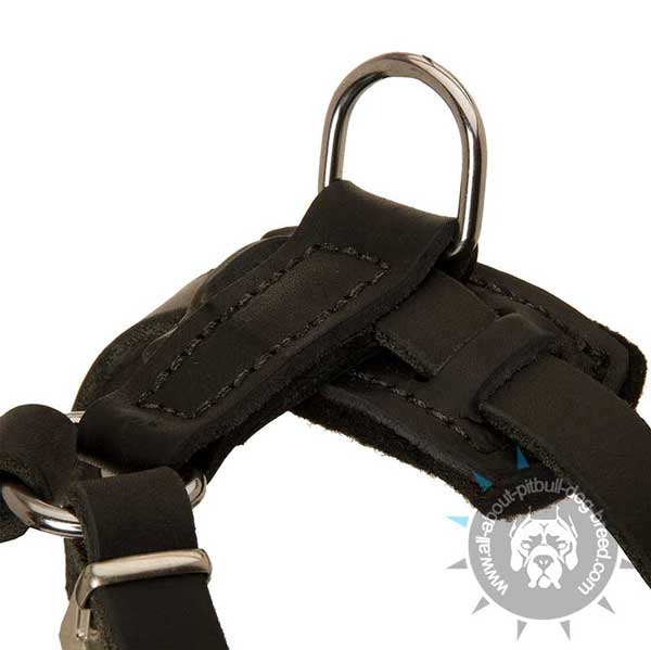 Functional Pitbull Spiked Leather Harness