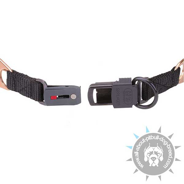 Pitbull Curogan  Pinch Collar with Secure Fixation