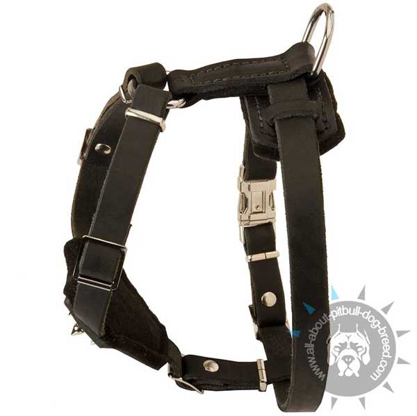 Pitbull Leather Harness for Pitbull Puppy