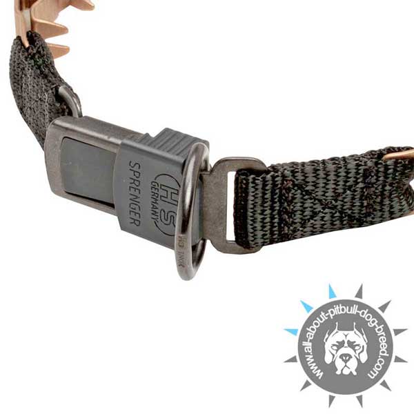 Neck Tech Collar with Click Lock Buckle