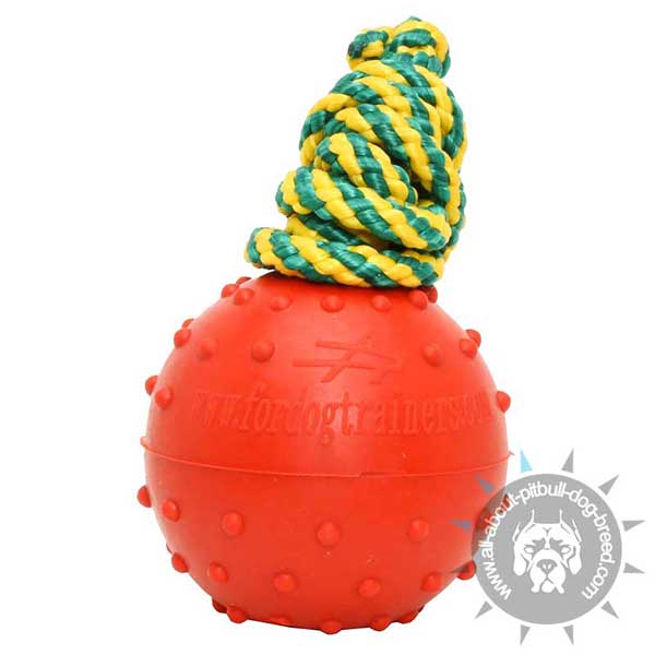 Durable Rubber Water Ball on String