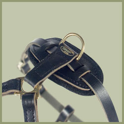 Tac-Black Leather Padded Tracking Harness for Pitbull 