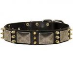 Gorgeous War Dog Leather Dog Collar with Massive Plates + Brass 3 Spikes