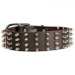 2 inch Wide Leather Spiked Dog Collar for Pitbull