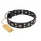 "Refined Essence" FDT Artisan Black Leather Pitbull Collar with Silvery Studs