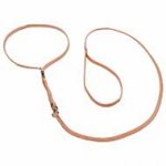 Dog Show Nylon Collar-Leash Combo 'Champion'