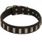 Classy Leather Dog Collar with Glaring Vertical Plates for Pitbull Dog