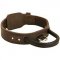 Two Ply Leather Dog Collar with Handle for Agitation Training