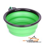 "Green Abyss" Collapsible Polymer Dog Bowl (Small Size)