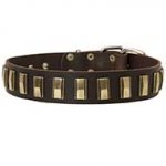 Fashion Leather Dog Collar with Brass Plates