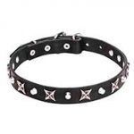 "Blazing Stars" Leather Pitbull Collar with Shiny Stars and Pyramids of Silver Color