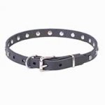 "Stellar" Narrow Leather Pitbull Collar with Nickel Plated Studs