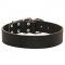 Leather Traditional Buckle Collar for Pitbull