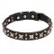 'Hollywood Star' Leather Pitbull Collar with Old Bronze Plated decor
