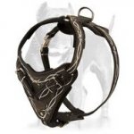 Handmade NEW Pitbull Leather Dog Harness with Barbed Wire Hand Painting