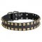 Newly-Designed Leather Pitbull Collar with Two Rows of Brass Studs
