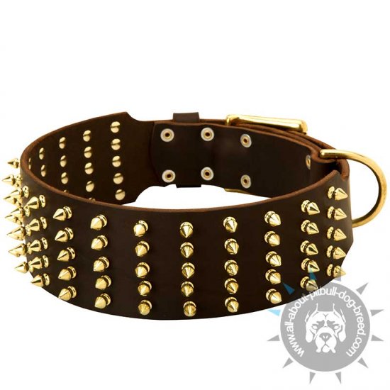 3 inch wide dog collars pitbull