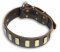 PITBULL Quality Brown collar 22'' /22 inch dog collar - S33p