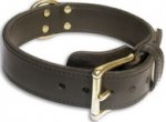 2 Ply Leather Dog Collar for Agitation