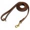 Leather Dog Leash Stitched Well-Made
