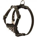 Spiked Leather Dog Harness for Pitbull Puppy Control