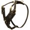 PITBULL Padded Dog Harness H10