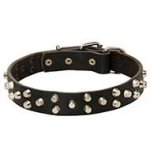 Pyramid Studded Leather Collar for Pitbull