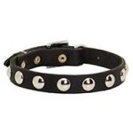 Nice Leather Dog Collar Decorated with Half Ball Studs for Walking