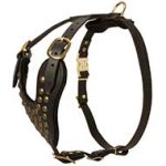 Adjustable Studded 2-Ply Latigo Harness for Pitbull