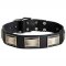 Luxury Leather Canine Collar with Large Nickel Plates for Pitbulls