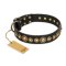 "Gold Mine" FDT Artisan Black Leather Pitbull Collar with Amazing Bronze-Plated Round Studs