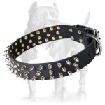 Black Leather Spiked dog Collar for Pitbull