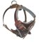 Medium dog Harness for Pitbull -Leather Harness