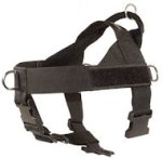 Nylon Companion Safety Harness for PITBULL