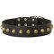 Gorgeous Wide Leather Dog Collar with Brass Studs
