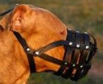Everyday Light Weight Super Ventilation Pitbull Muzzle-Dog Muzzle