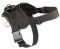 Fashion Dog Harness-Everyday Harness for Pitbull