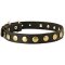 Universal Leather Collar for Pitbull